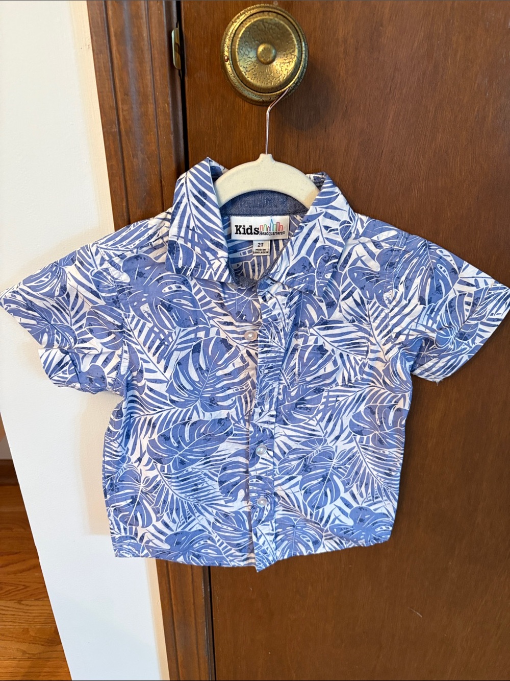 Kids Headquarters Blue & White Leaf Print Button-Down Shirt - Picture 1 of 3